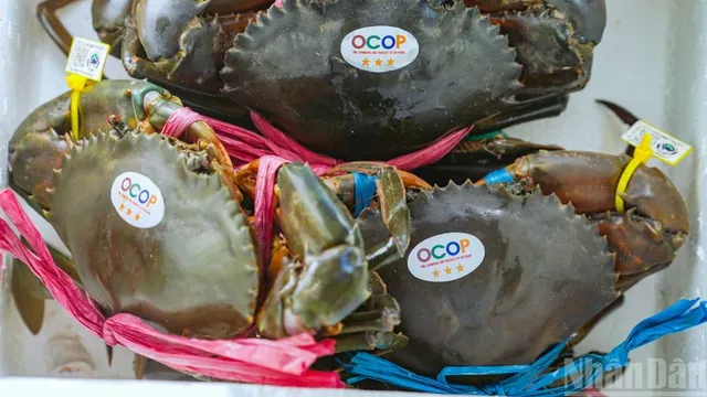 Building “launchpad” to take Ca Mau crabs to the world - Ảnh 2.