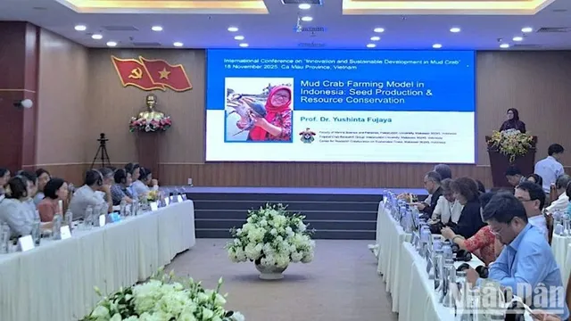 Building “launchpad” to take Ca Mau crabs to the world - Ảnh 3.