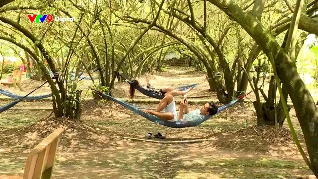 Vườn táo 40 năm tuổi - Điểm đến độc đáo ở Đồng Tháp