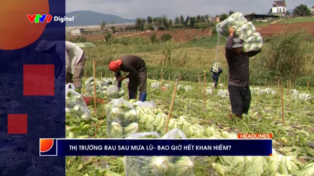 Thời sự: Phương Nam hôm nay (07/12/2025)