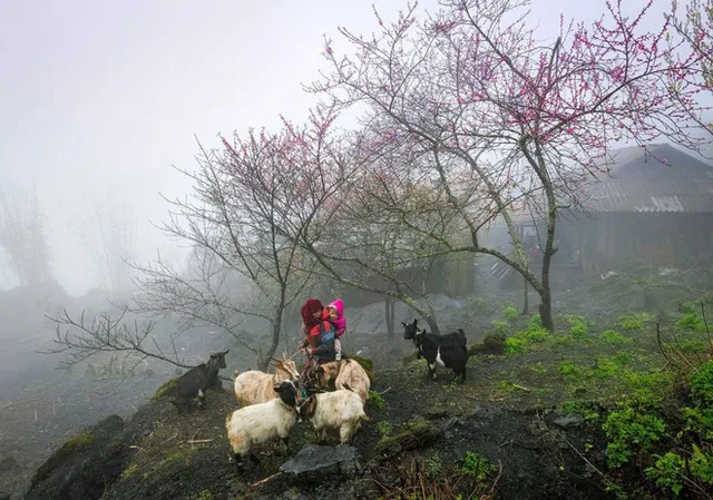 Vietnam named World’s Leading Heritage Destination 2025 - Ảnh 1.