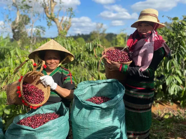 Vietnam’s agro-forestry-fishery exports race past 2024 record in first 11 months - Ảnh 1.