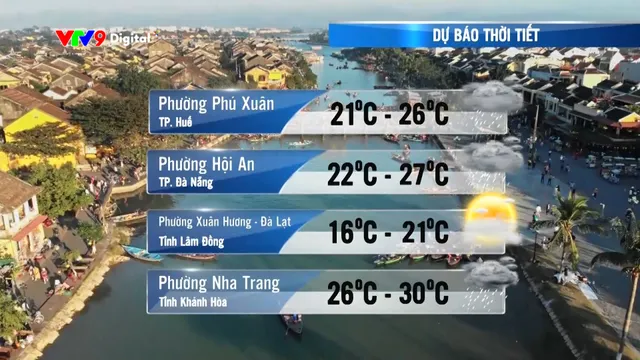 Dự báo thời tiết (11/12/2025)