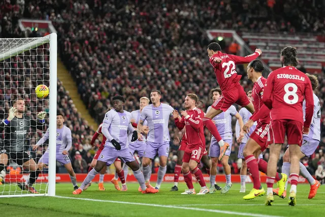 Ekitike lập cú đúp, Liverpool vượt qua Brighton- Ảnh 2. Ekitike lập cú đúp, Liverpool vượt qua Brighton- Ảnh 2.