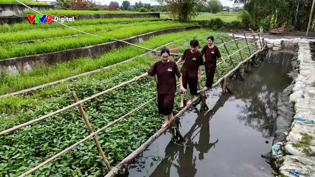 Việt Nam ơi! Mình cùng đi: Giữa phố thị tìm về màu xanh