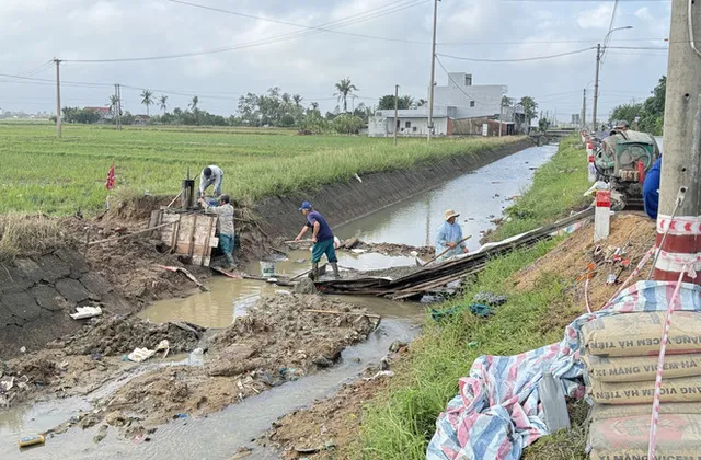 PM urges swift disaster aftermath settlement, production restoration, consumption boost ahead of Tet - Ảnh 1.