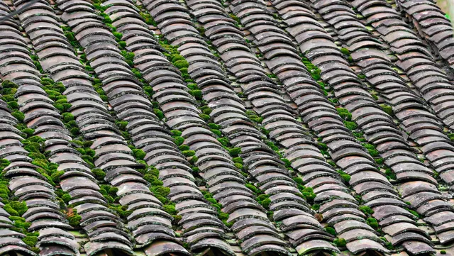 Mái ngói âm dương: Linh hồn trong kiến trúc nhà ở của người dân tộc Lạng Sơn- Ảnh 2. Mái ngói âm dương: Linh hồn trong kiến trúc nhà ở của người dân tộc Lạng Sơn- Ảnh 2.