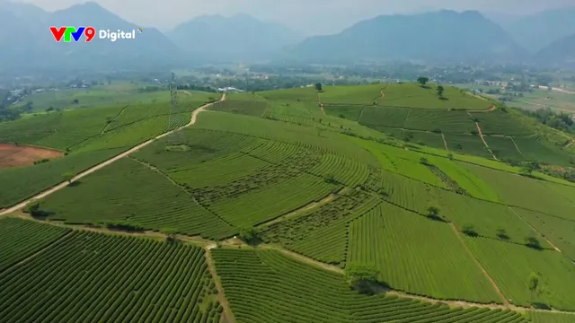 Dự báo thời tiết (16/12/2025)