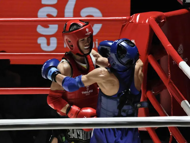 Muay Việt Nam giành 11 huy chương, kết thúc hành trình SEA Games 33
- Ảnh 3. Muay Việt Nam giành 11 huy chương, kết thúc hành trình SEA Games 33
- Ảnh 3.