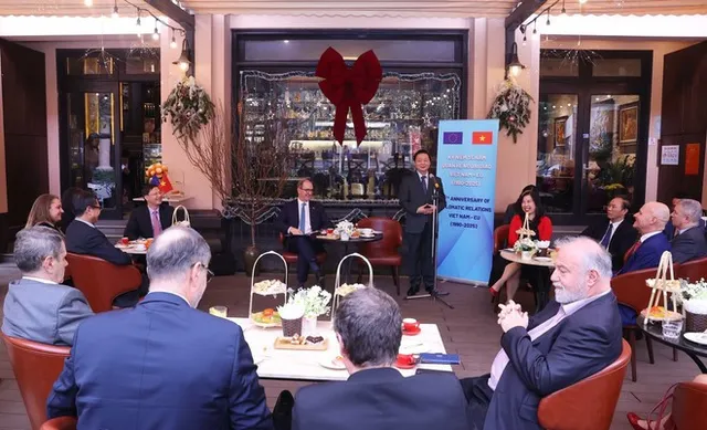 Deputy PM Tran Hong Ha meets EU diplomats in Viet Nam - Ảnh 1.