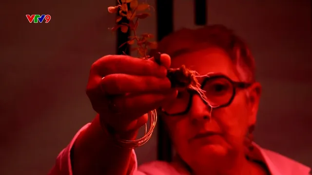 Công nghệ tạo ra bánh ngọt, socola từ tế bào trái cây