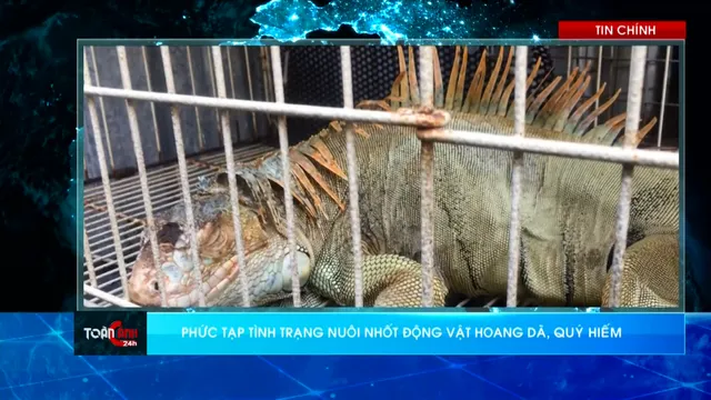 Thời sự: Toàn cảnh 24h (17/12/2025)