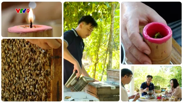 Ấn tượng Phương Nam: Tiềm năng từ du lịch cộng đồng ở Thới Sơn