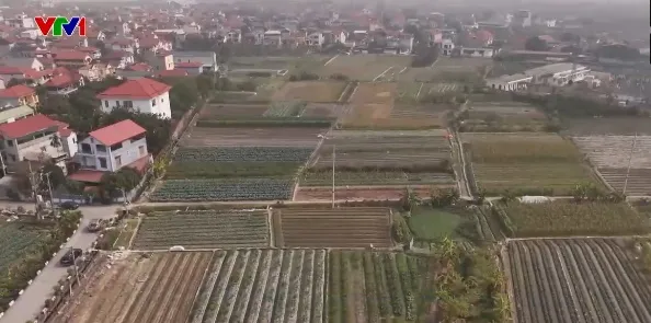 Tháo gỡ bàn giao đất dịch vụ