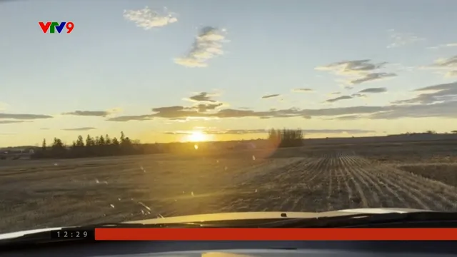 Nông nghiệp Canada: Đổi cách làm, tăng mùa vàng