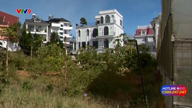 Alo V9 (25/12/2025): Tranh chấp đất đai kéo dài hơn 20 năm chưa xử lý dứt điểm