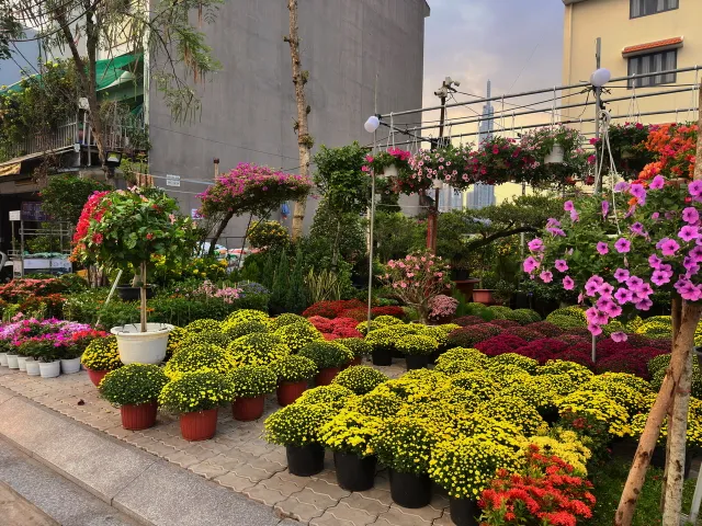 TP Hồ Chí Minh: Hoa, kiểng Tết đã về phố- Ảnh 1. TP Hồ Chí Minh: Hoa, kiểng Tết đã về phố- Ảnh 1.