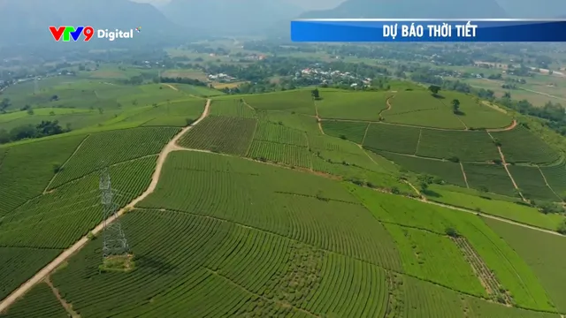 Dự báo thời tiết (26/12/2025)