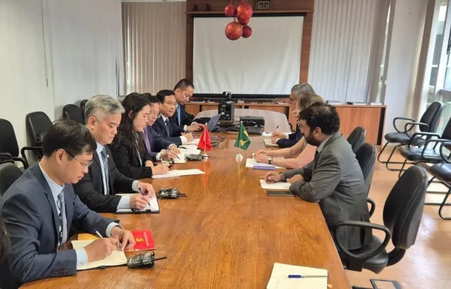 Japan, Brazil assist Vietnam in addressing storm and flood damage - Ảnh 1.