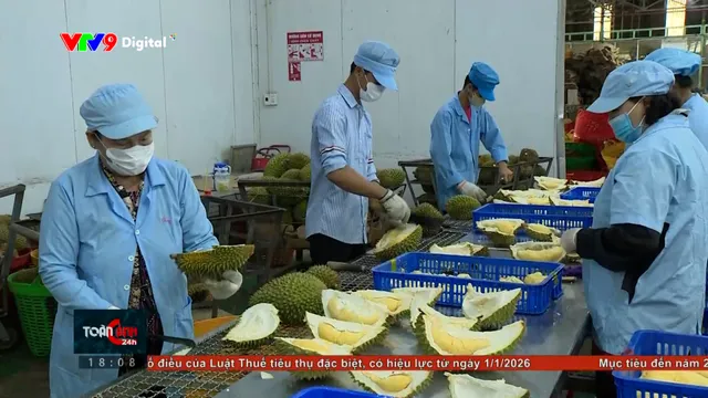 Xuất khẩu nông sản đạt kỷ lục mới