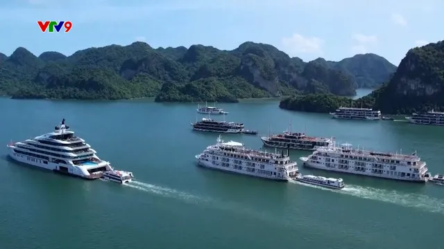 Du lịch bứt tốc ngay từ đầu năm