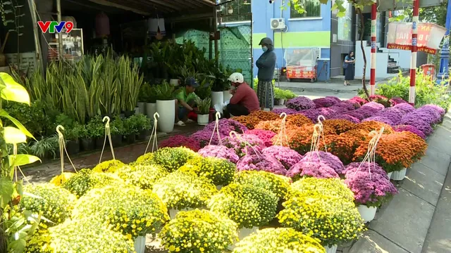 TP. Hồ Chí Minh: Hoa kiểng tết khởi động mùa kinh doanh