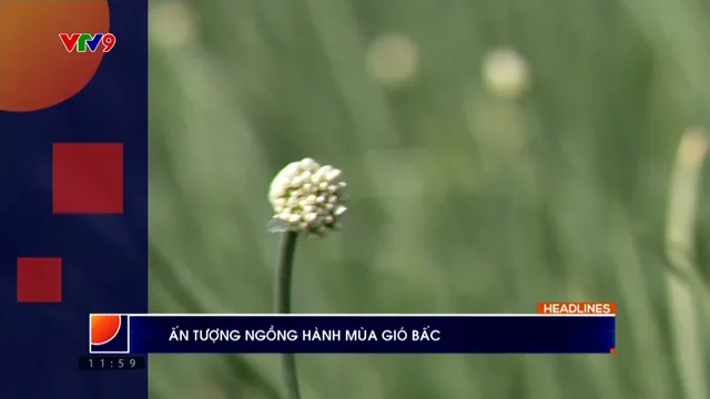 Thời sự: Phương Nam hôm nay (09/01/2026)