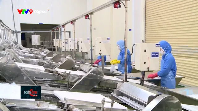 Xuất khẩu 2026: Doanh nghiệp đổi chiến lược để tăng trưởng