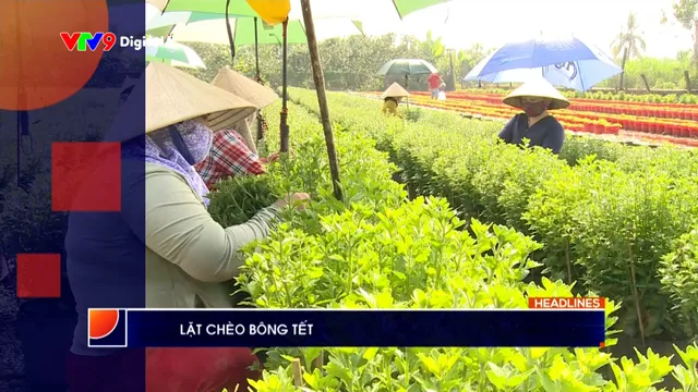 Thời sự: Phương Nam hôm nay (11/01/2026)