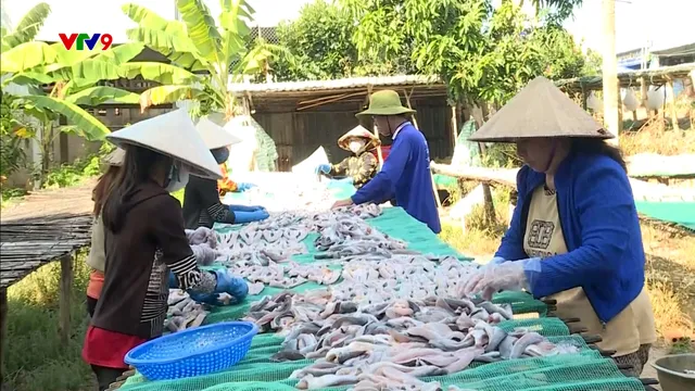 Làng sản xuất khô vào vụ Tết