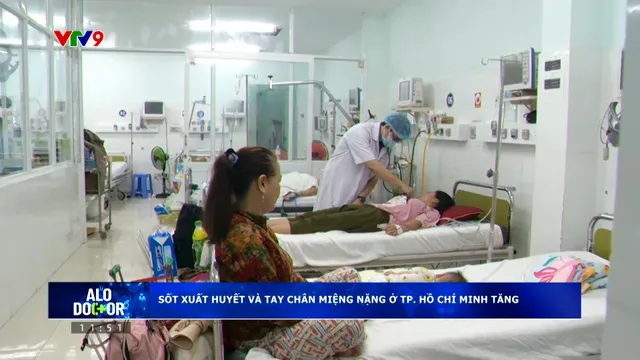 Alo Doctor (13/01/2026): Sốt xuất huyết và tay chân miệng nặng ở TP. Hồ Chí Minh
