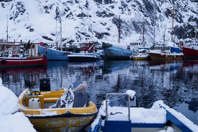 Tiềm năng của Greenland - Ảnh 2.