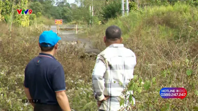 Alo V9 (15/01/2026): Phản hồi của cơ quan chức năng đối với tuyến đường tránh Bảo Lộc