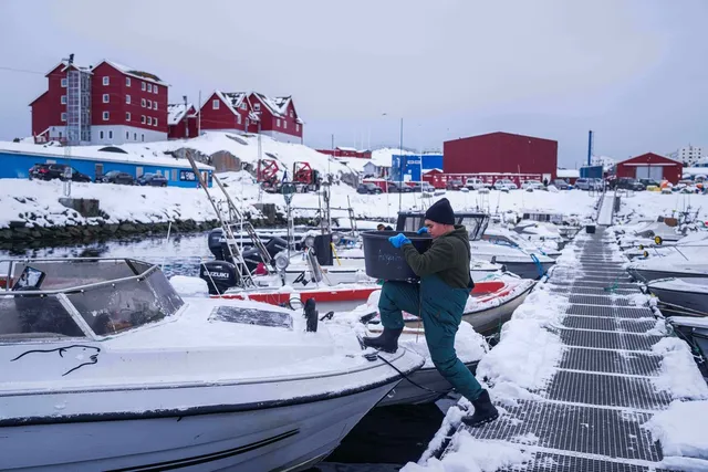 Pháp mở lãnh sự quán tại Greenland, ủng hộ chủ quyền của Đan Mạch- Ảnh 1. Pháp mở lãnh sự quán tại Greenland, ủng hộ chủ quyền của Đan Mạch- Ảnh 1.