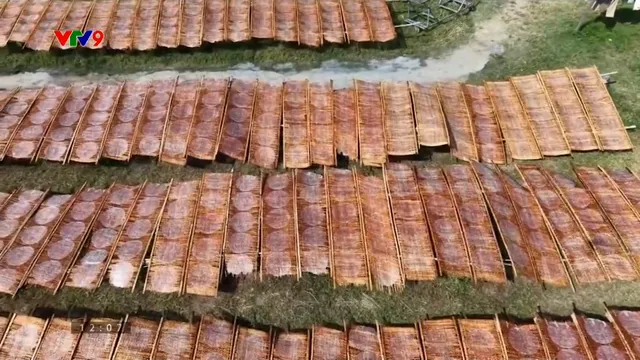 Rộn ràng vụ bánh tráng Tết bình an