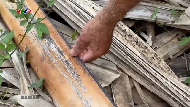 Ấn tượng phương Nam: Giữ nghề đũa buông