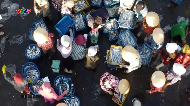 Khơi thông thị trường cá ngừ