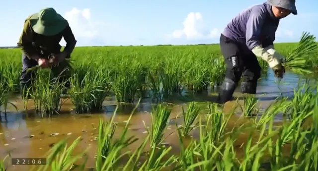 Three Pillars of Cooperation Form the Foundation of 65 Years of Vietnam-Cuba Friendship - Ảnh 5.