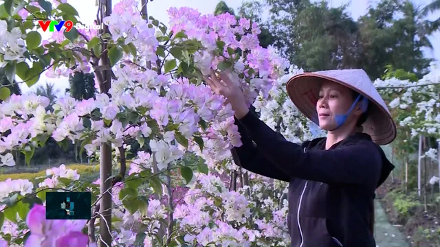 Mãn Đình Hồng - Từ đất rẫy đến vườn hoa rực rỡ