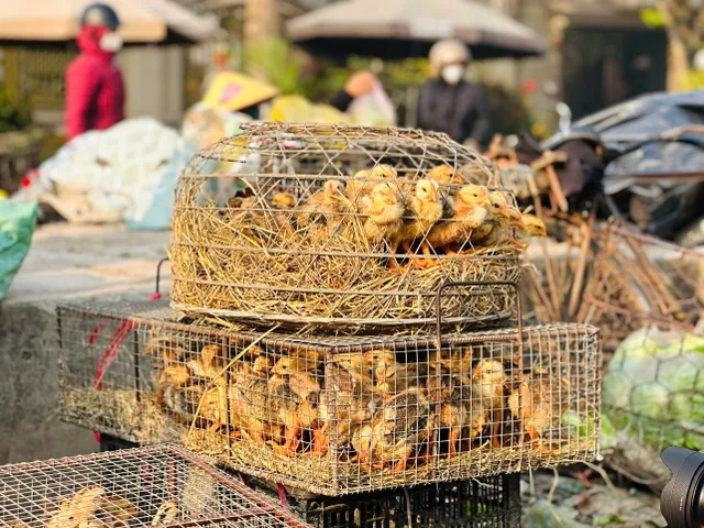 Kindness Bus in January: When Little Chicks Nurture the Dream of Going to School for Disadvantaged Students - Ảnh 2.