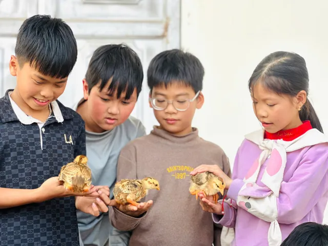 Kindness Bus in January: When Little Chicks Nurture the Dream of Going to School for Disadvantaged Students - Ảnh 7.