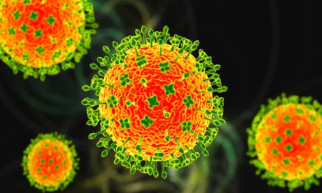 Xuất hiện ổ dịch virus Nipah tại Ấn Độ, một số nước châu Á nâng mức cảnh báo- Ảnh 1.