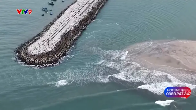 Alo V9 (26/01/2026): Luồng lạch bị bồi lấp, tàu thuyền ra vào khó khăn