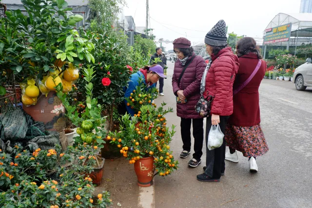 Làng hoa Xuân Quan nhộn nhịp trước Tết - Ảnh 8.