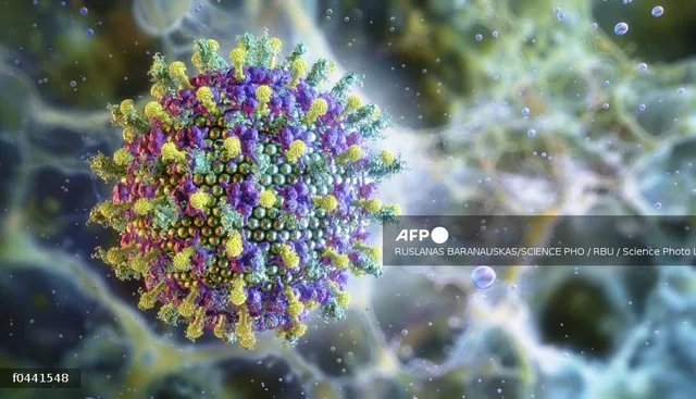 Sự bùng phát virus Nipah ở Ấn Độ làm dấy lên lo lắng ở Trung Quốc trước Tết Nguyên đán - Ảnh 2.