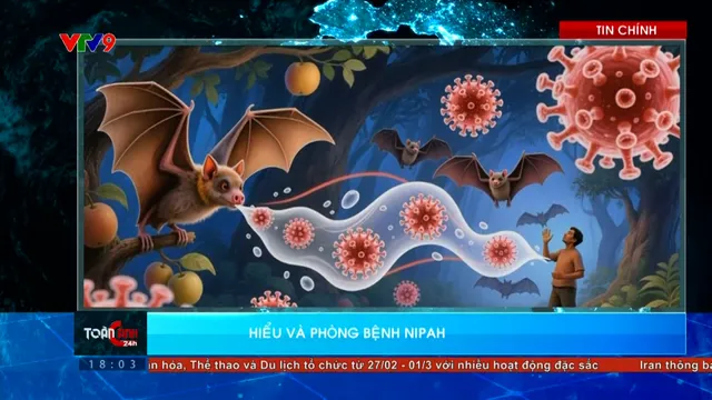 Thời sự: Toàn cảnh 24h (28/01/2026)