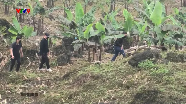 Xuất nhập cảnh trái phép nguy cơ tiếp tay tội phạm xuyên quốc gia