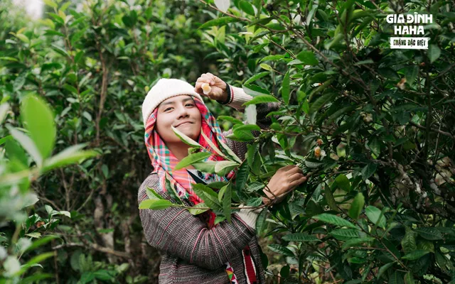 Chưa lên sóng, Quán nhà Haha đã khiến khán giả xôn xao - Ảnh 8.
