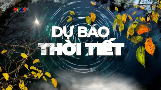Dự báo thời tiết (03/02/2026)
