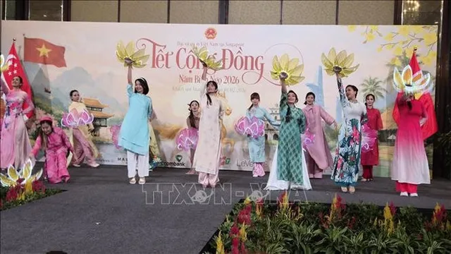 Lunar New Year celebrations strengthen bonds among Vietnamese communities abroad - Ảnh 1.